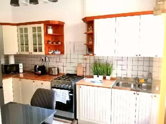 Free Garage Parking, Ac And Bikes In The Downtown Apartment Budapest Ngoại thất bức ảnh